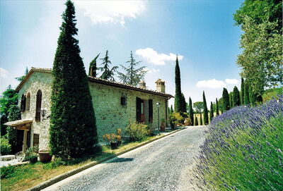 Cornocchio 3