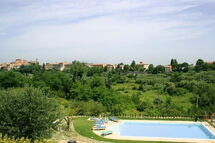 IL NESPOLO IL NESPOLO