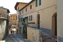 CETONA CETONA