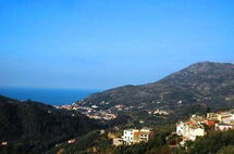 MARIN