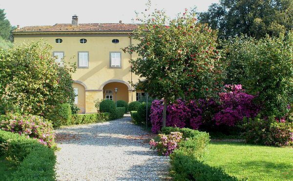 Villa Andrea - Property number: 491400