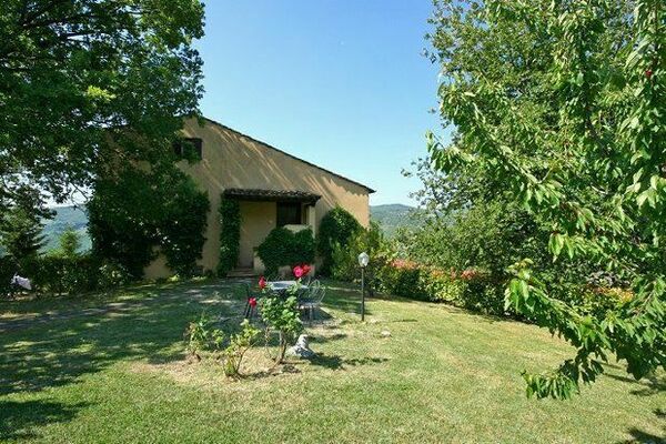Ciliegio 6 - Property number: 491461