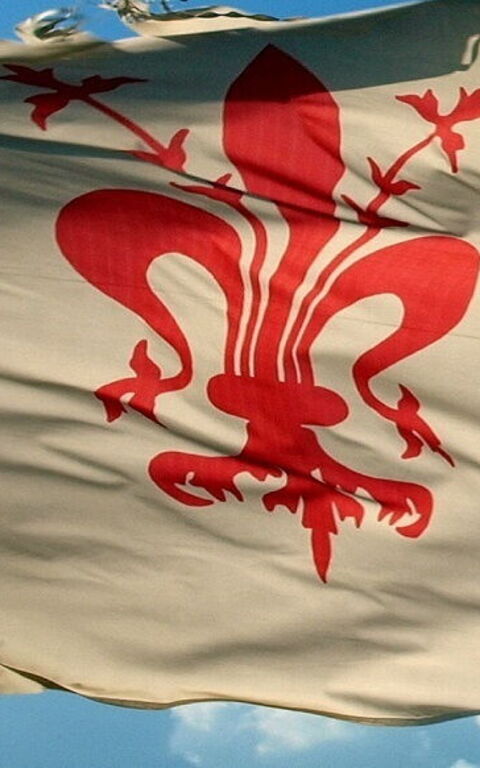 Die Florentinische Lilie