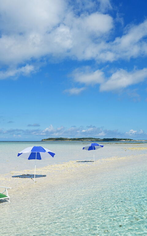 Langweilen sie sich auf der Sonnenliege ?