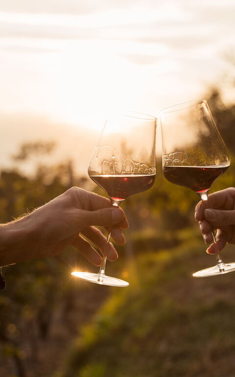 Eine Tour nach Bolgheri