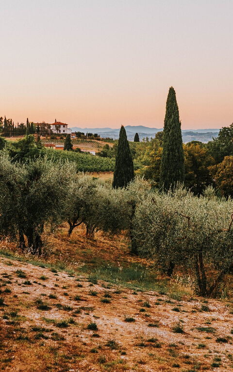 Der Trend des "Do Nothing" unter der mediterranen Sonne