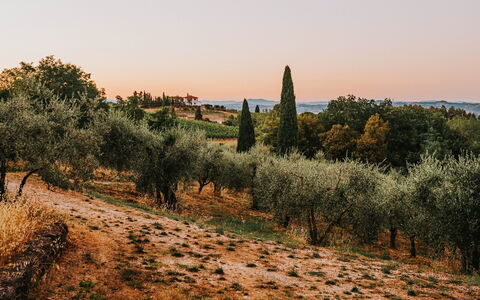 Der "Urlaub vom Urlaub": Die Kunst des Entschleunigens in einer exklusiven Villa im September