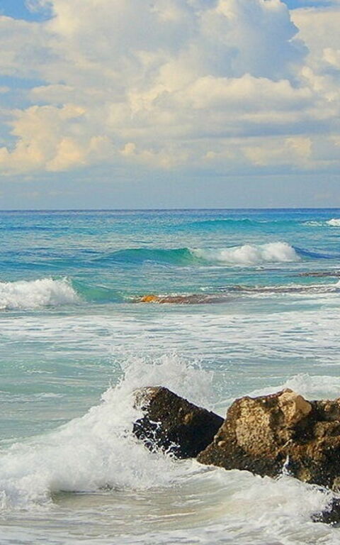 Zwischen Kultur und Gespenstern