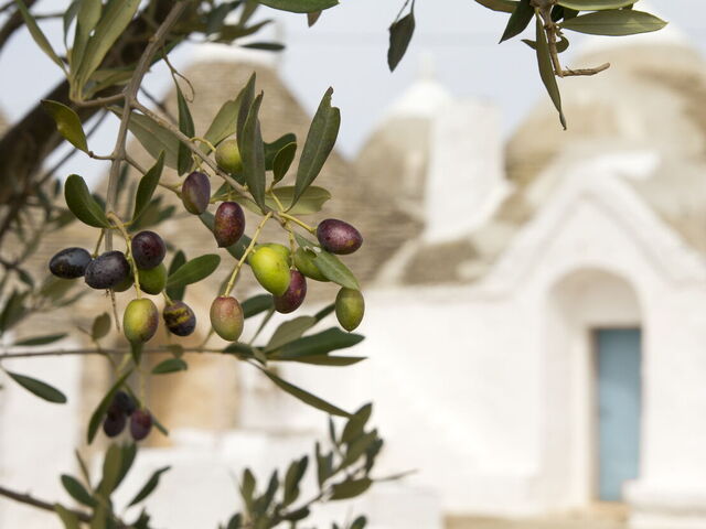 Traditionelle Speisen und Gerichte aus der Region Apulien.