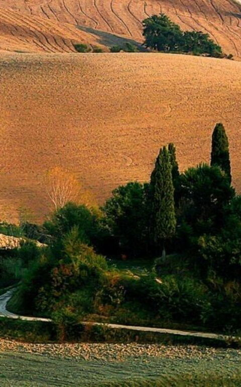 Wenn die Natur eine Spektakel ist : Das „ Teatro der Stille „