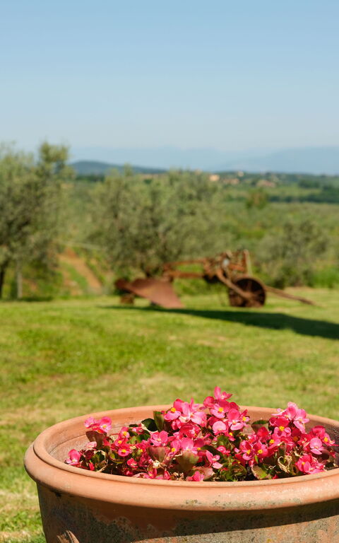 Pozzo Dei Desideri: Ansichten, Außen, Draussen, Garten