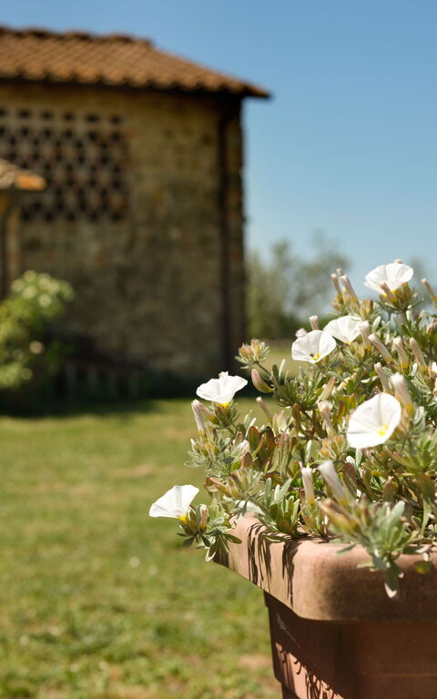 Pozzo Dei Desideri: Außen, Draussen, Garten