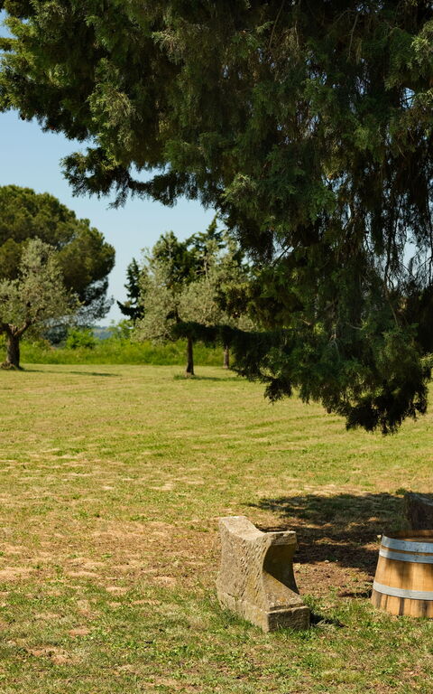 Pozzo Dei Desideri: Außen, Draussen, Garten