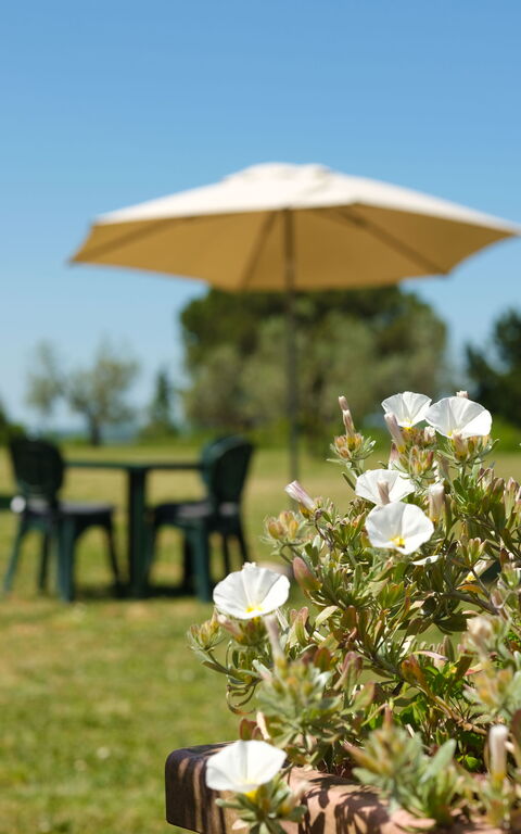 Pozzo Dei Desideri: Außen, Draussen, Garten
