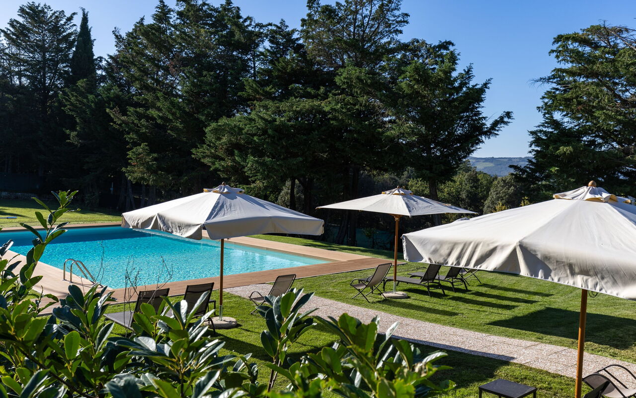 Villa Simone: Draussen, Garten, Schwimmbad