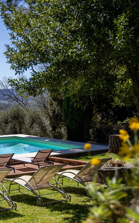 Villa Orchidea: Draussen, Schwimmbad