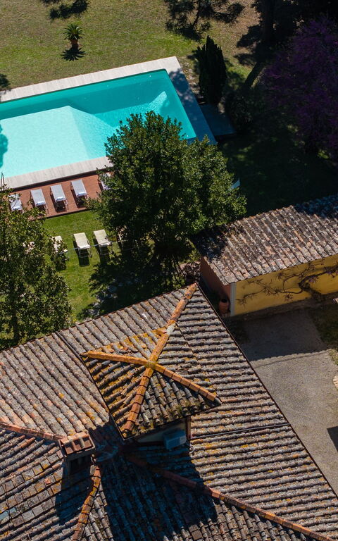 Villa Orchidea: Draussen, Schwimmbad