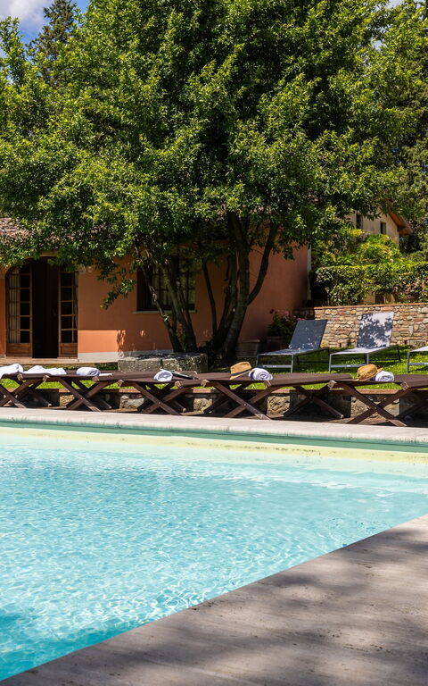 Villa Orchidea: Außen, Draussen, Garten, Schwimmbad