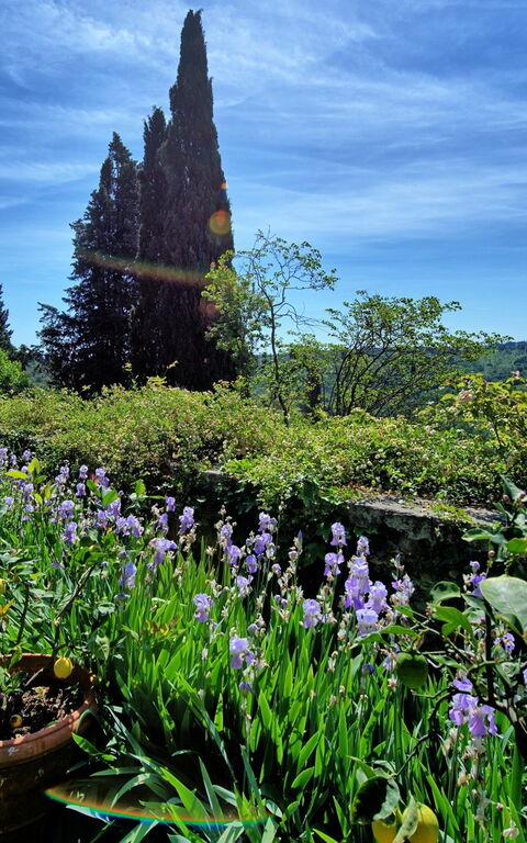 Montegufoni: Ansichten, Garten