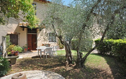 Unterkunft Archi: Außen, Garten