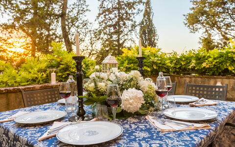 Unterkunft Galleria: Draussen, Garten