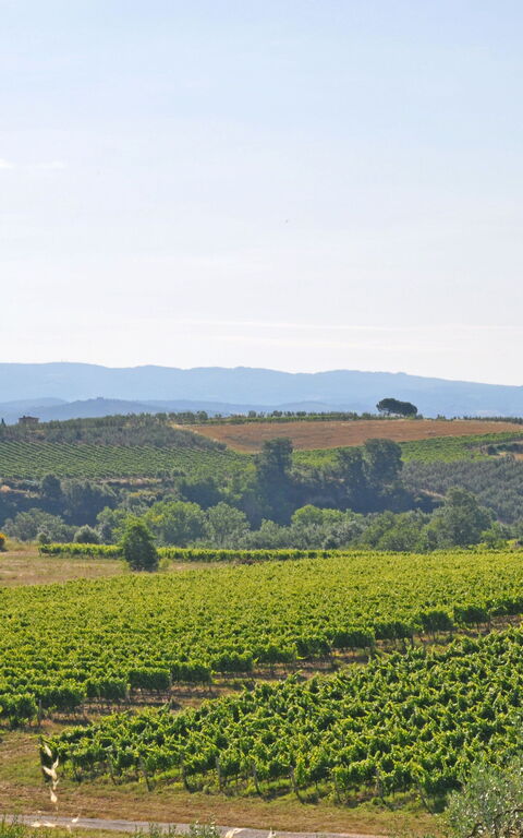 I Glicini: Ansichten