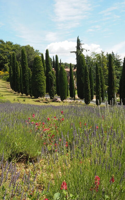 Cornocchio: Ansichten