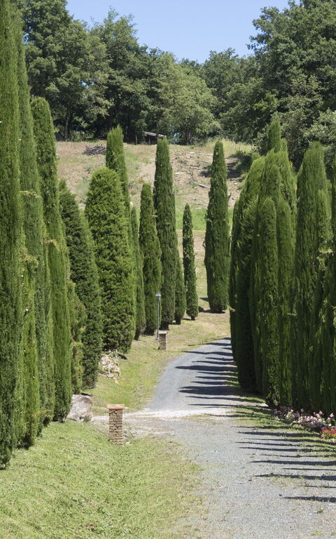 Cornocchio: Ansichten