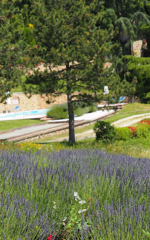 Cornocchio: Ansichten