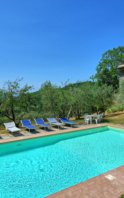 Poggio Conca: Schwimmbad, Sommer