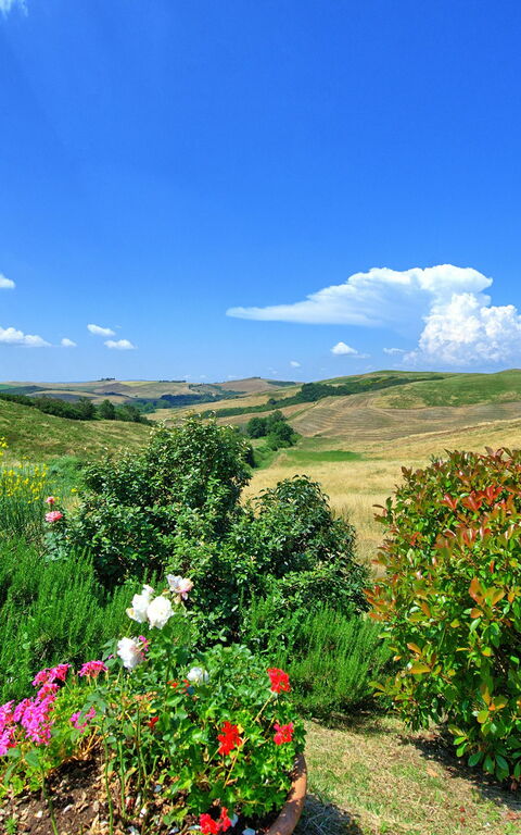 Castelmuzio: Ansichten