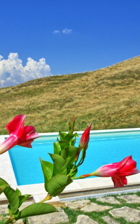 Castelmuzio: Schwimmbad