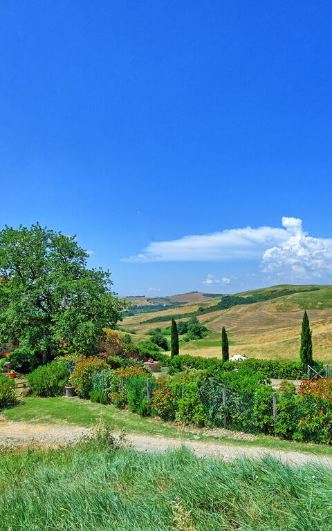 Castelmuzio: Ansichten, Draussen