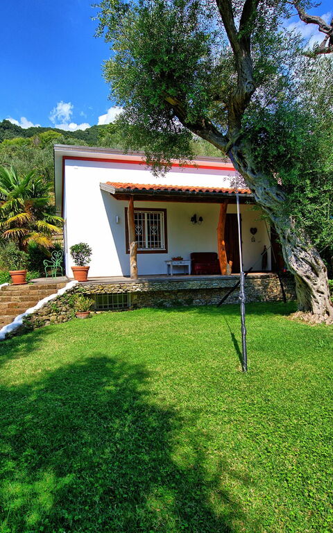 Villa Oliveta: Draussen, Garten