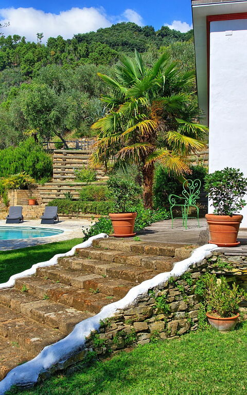 Villa Oliveta: Garten