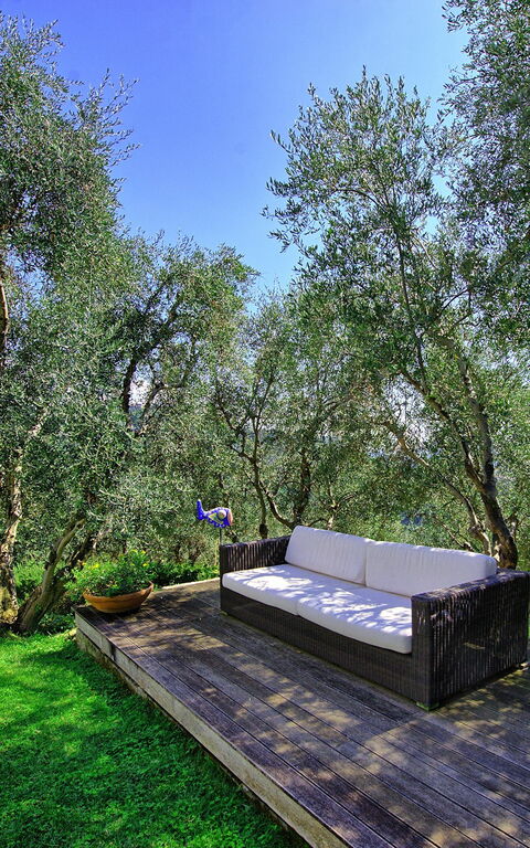 Villa Oliveta: Garten