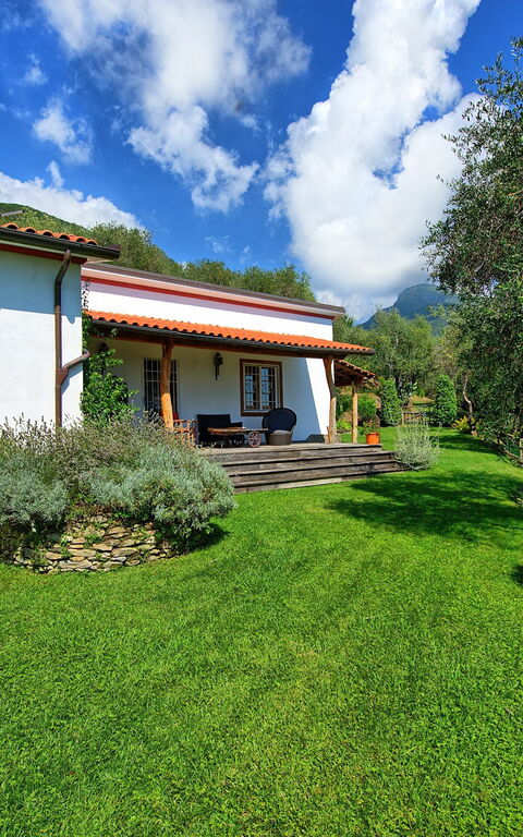 Villa Oliveta: Draussen, Garten