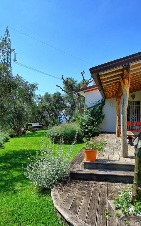 Villa Oliveta: Garten