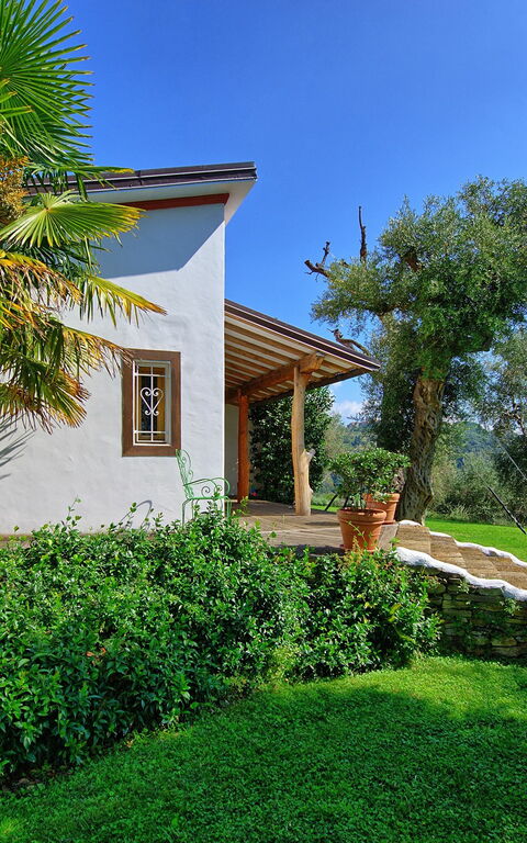 Villa Oliveta: Draussen, Garten