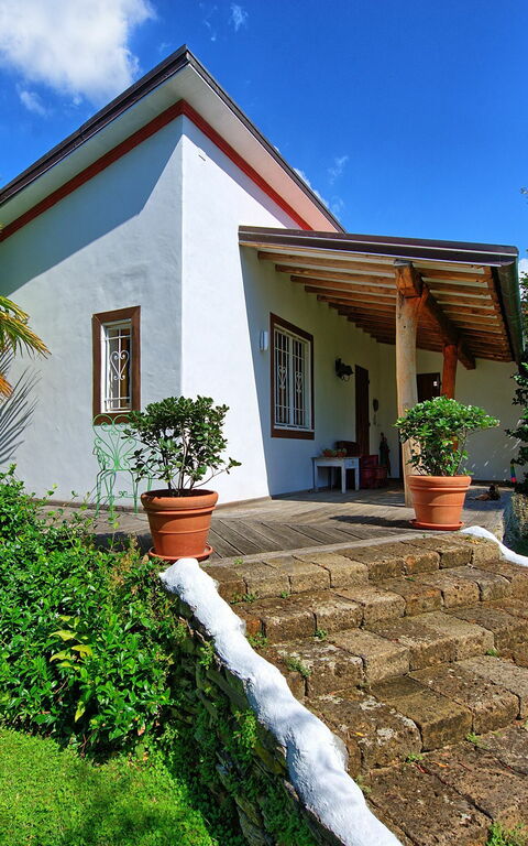 Villa Oliveta: Draussen, Garten