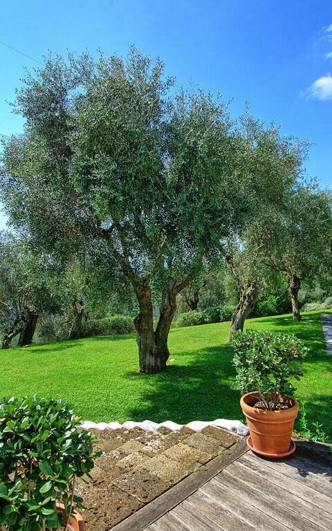 Villa Oliveta: Ansichten, Schwimmbad