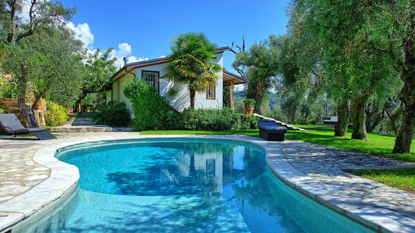 Villa Oliveta: Schwimmbad, Sommer