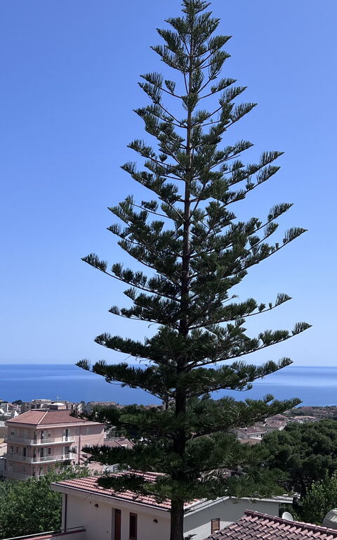 Castellammare: Ansichten