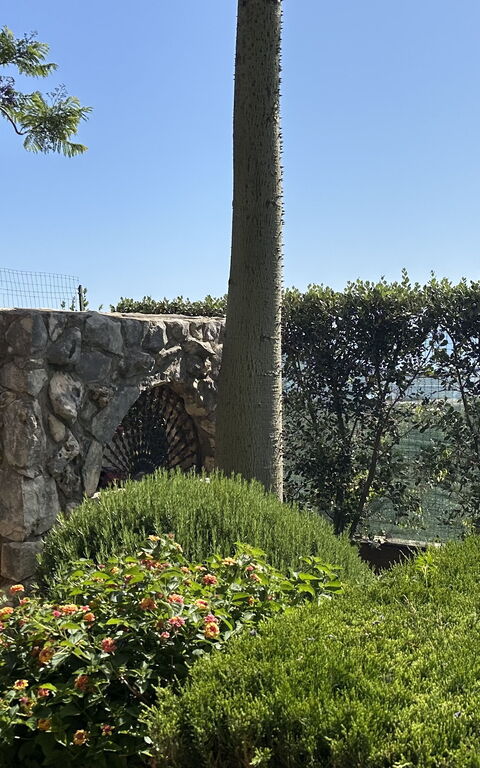 Castellammare: Außen, Garten