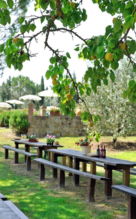 Montelopio: Draussen, Garten