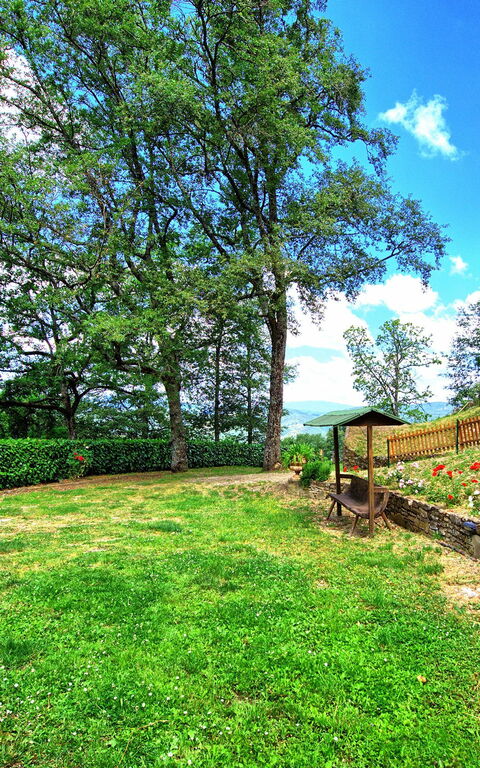 Villa Margherita: Garten