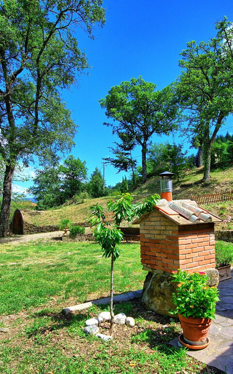 Villa Margherita: Garten