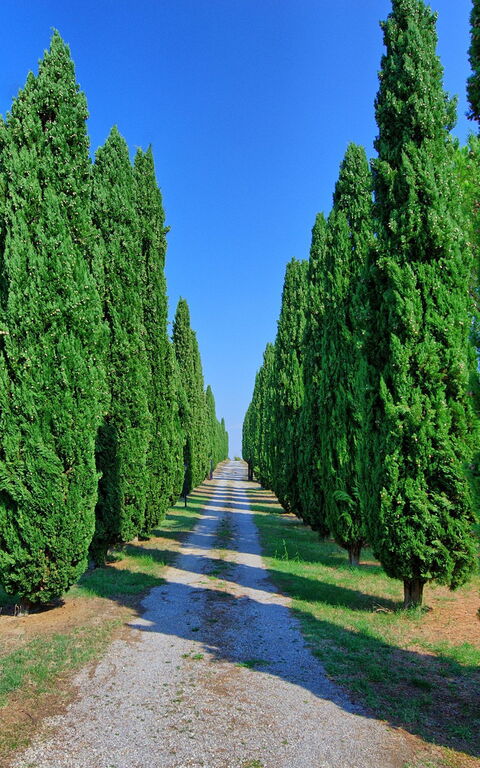 Casale Giulio: Ansichten