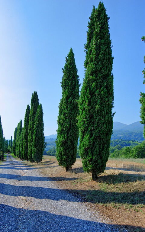 Casale Giulio: Ansichten