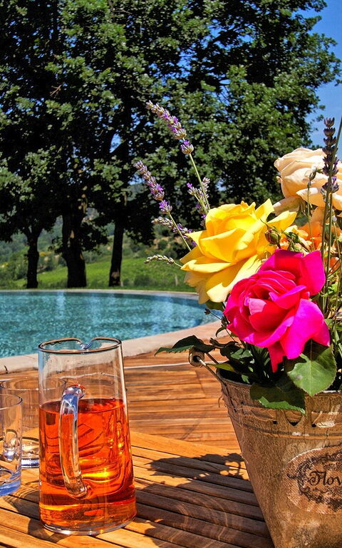 Villa Petrognano: Ansichten, Draussen, Schwimmbad